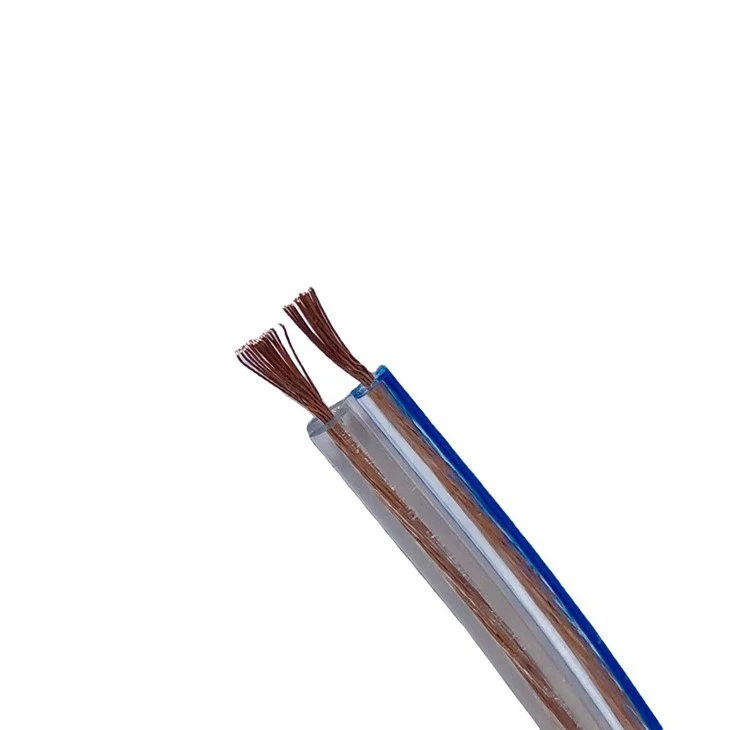 Speaker Wire Positive Negative